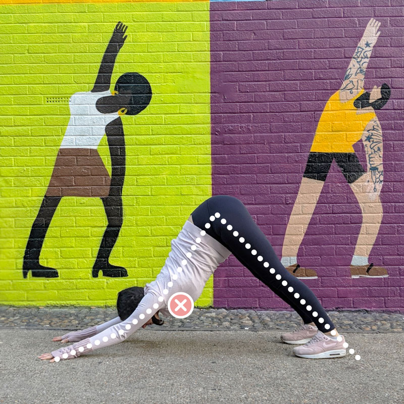 Downward Facing Dog - Hypermobile