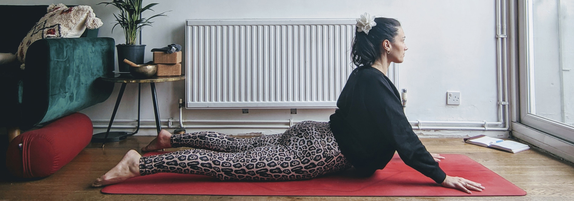 Continued Education: Yin yoga